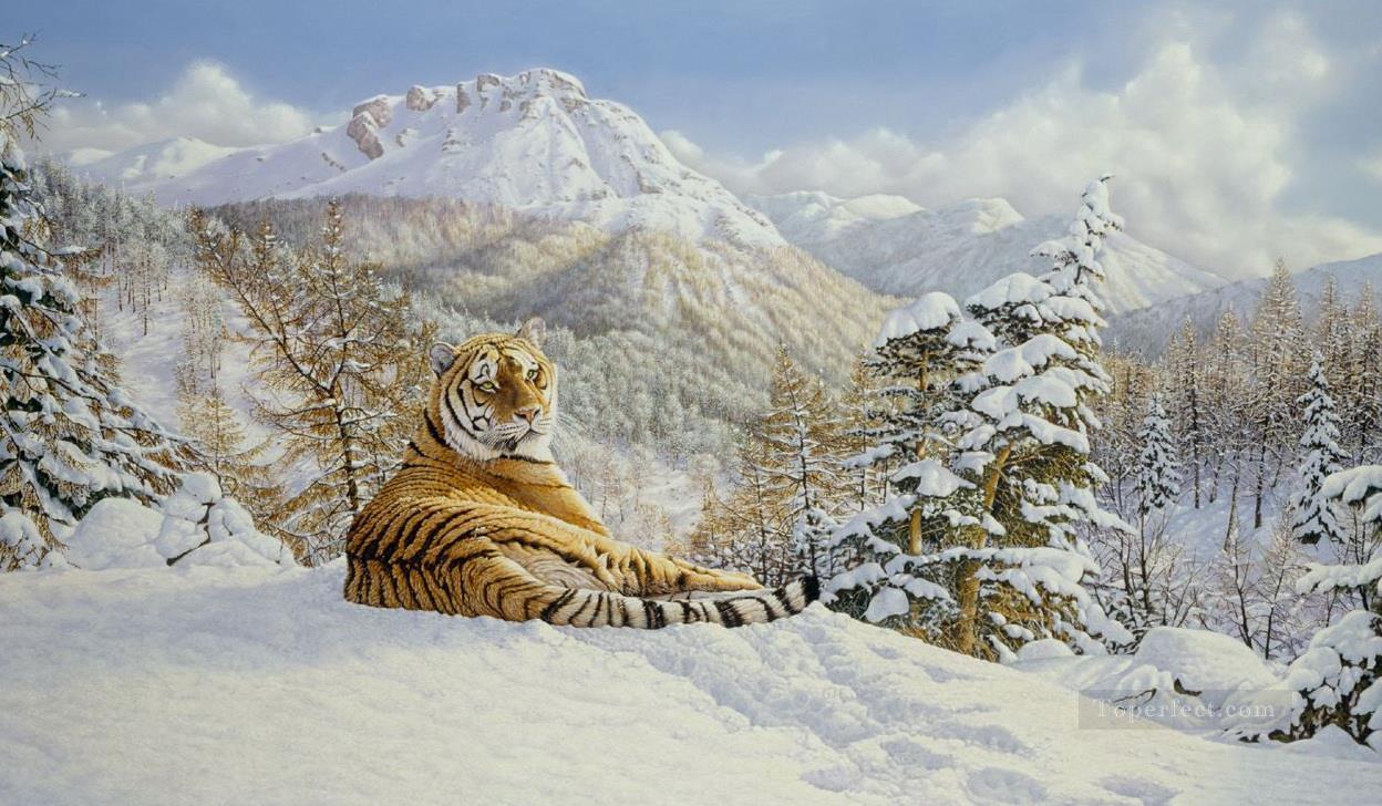 Taiga Tiger Peintures à l'huile